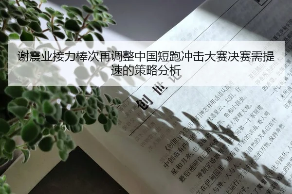 谢震业接力棒次再调整中国短跑冲击大赛决赛需提速的策略分析 - Kaiyun FIFA WorldCup