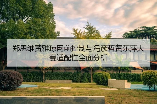 郑思维黄雅琼网前控制与冯彦哲黄东萍大赛适配性全面分析